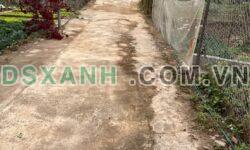 LÔ ĐẤT RỘNG – PHÙ HỢP LÀM NHÀ VƯỜN KHU VỰC ĐỀ THÁM