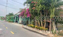 BÁN NHANH 2 CĂN NHÀ CẤP 4 GẦN BIỂN PHƯỚC HẢI – GIÁ CHỈ 2.7 TỶ