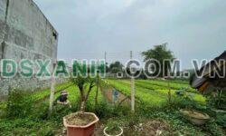 BÁN ĐẤT TÚC DUYÊN – VỊ TRÍ ĐẸP, GIÁ HẤP DẪN