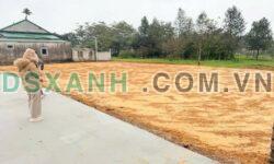 CHỈ 1 LÔ DUY NHẤT – NGHI TRƯỜNG SIÊU ĐẸP