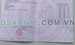 BÁN ĐẤT MẪU – DỐC TƠ HỒNG, TUY PHONG, BÌNH THUẬN