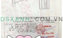 ĐẤT ĐẸP VIEW SUỐI CHẢY QUANH NĂM – HÒA HỘI, XUYÊN MỘC, BRVT