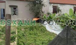 BÁN LÔ ĐẤT DÂN TIẾN, MINH ĐỨC, ĐỒ SƠN, HẢI PHÒNG – NGÕ Ô TÔ – GIÁ TỐT
