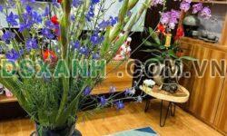 BÁN NHÀ NHỎ XINH NGÕ 18 LẠCH TRAY – GIÁ TỐT CHO NGƯỜI THIỆN CHÍ