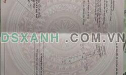 BÁN ĐẤT PHÚ LỢI – HẺM 220 HUỲNH VĂN LUỸ, THỦ DẦU MỘT, BÌNH DƯƠNG
