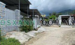 BÁN NHANH LÔ ĐẤT ĐẸP DIÊN ĐIỀN – ĐƯỜNG QUY HOẠCH 8M