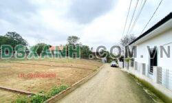 BÁN ĐẤT KHU 12 ĐÀO XÁ – THANH THỦY, PHÚ THỌ