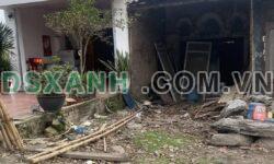 BÁN GẤP ĐẤT MẶT ĐƯỜNG LẠC LONG QUÂN – THỌ SƠN