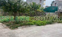 ĐẤT RỘNG – CHIA ĐƯỢC 2 LÔ – XÂY NHÀ VƯỜN QUÁ ĐẸP