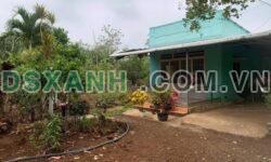 CẦN BÁN GẤP LÔ ĐẤT ĐẸP – PHÚ RIỀNG, BÌNH PHƯỚC