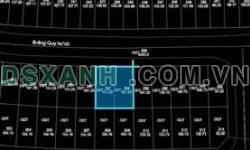 BÁN ĐẤT TRỤC CHÍNH HOA TRẠNG NGUYÊN – HỒ XƯƠNG RỒNG