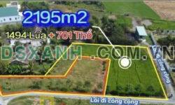 2400m2 đất 3 măt tiền đường ( có 700m2 thổ) xã Tân Lân, Cần Đước Giá 4 tỷ