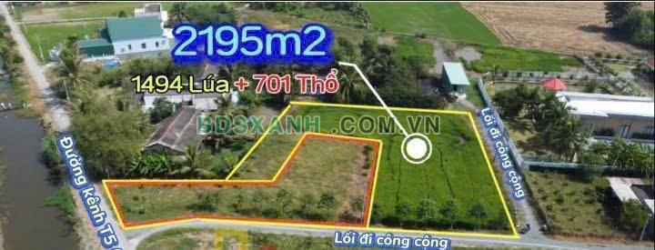 2400m2 đất 3 măt tiền đường ( có 700m2 thổ) xã Tân Lân, Cần Đước Giá 4 tỷ