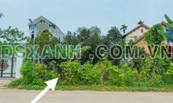 BÁN ĐẤT ĐẸP TẠI TU VŨ – THANH THUỶ – PHÚ THỌ