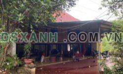 BÁN NHÀ VƯỜN VÀ MẢNH ĐẤT DIỆN TÍCH LỚN TẠI ĐẠO ĐỨC, VỊ XUYÊN, HÀ GIANG