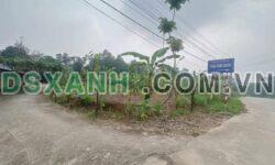 BÁN ĐẤT KHU 12 TIÊN KIÊN – LÂM THAO