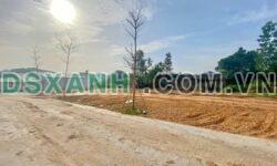 BÁN 3 LÔ ĐẤT ĐẸP GẦN CẦU ĐÁN – THỊNH ĐỨC – GIÁ CHỈ 6XX TRIỆU
