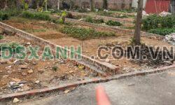 Cần bán đất tại Xuân Hòa 1, Cao Minh, Phúc Yên