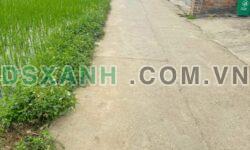 CHÍNH CHỦ CẦN BÁN GẤP TRONG TUẦN – ĐẤT NAM PHONG, HƯNG ĐẠO, TP. CAO BẰNG