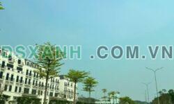 SIÊU PHẨM ĐẤT MẶT ĐƯỜNG QUỐC LỘ 3 – TRỤC CHÍNH ĐẸP NHẤT ĐỀ THÁM