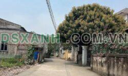 BÁN GẤP LÔ ĐẤT HƯNG ĐÔNG – TP VINH