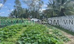 BÁN ĐẤT Ở TẠI PHÚ SƠN 1 – HOÀ KHƯƠNG – ĐÀ NẴNG