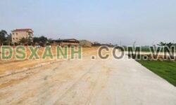 BÁN ĐẤT ĐẤU GIÁ – BÀN GIẢN – LẬP THẠCH, VĨNH PHÚC