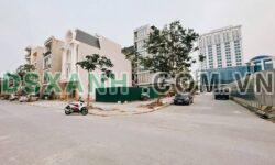 CHÍNH CHỦ GỬI BÁN 2 Ô ĐẤT HOA HẬU CỘT 81