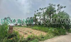 Bán đất Thanh Đình, Khu 4 (mới) – Vị trí đẹp, tiềm năng sinh lời