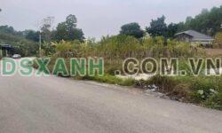 Bán đất Phú Hộ, QL2 – 100m² thổ cư, vị trí đẹp, tiềm năng sinh lời