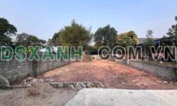 Bán đất Tân Thành 300m², thổ cư 50m², ô tô tận đất
