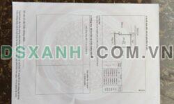 Đất Vàng Quang Hanh, Km7: Vuông Đẹp, Nở Hậu, Giá Tốt