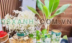 Biệt Thự VIP Lương Ngọc Quyến, Trung Tâm TP, Nội Thất 5 Sao