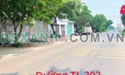Bán nhà đất TL 302, Tam Lộng – 100m² – Kinh doanh tốt