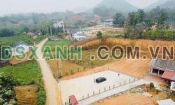 Bán đất Thọ Văn, Tam Nông, Phú Thọ – Đầu tư sinh lời, tiềm năng lớn