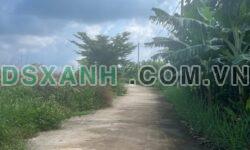 Bán đất Sông Thao 1000m², sổ riêng, đầu tư sinh lời