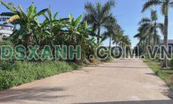 Bán đất Tiên Kiên, Lâm Thao 157m2 vuông vắn, full thổ cư