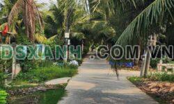 Bán Đất Vườn Dừa Phú Hưng, Bến Tre – 1500m², Đường Xe 16 Chỗ