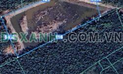 Bán Đất Thổ Bình Khánh Cần Giờ – Đầu Tư Sinh Lời Ngay