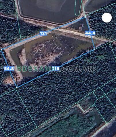 Bán Đất Thổ Bình Khánh Cần Giờ – Đầu Tư Sinh Lời Ngay