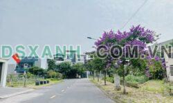 Bán đất Vũ Thê Lang, 236m2, Mặt tiền 11.8m – Đầu tư sinh lời