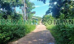 Bán đất Vườn Xoài La Ngà, khu dân cư, gần nhựa, đất bằng đẹp