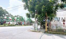 Bán Đất Đồi Cam Thanh Miếu, Khu 11: Vị trí Đẹp, Tiềm Năng Sinh Lời