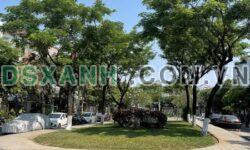 Bán đất An Thượng, 132m², đường 7m, gần biển Mỹ Khê – Đầu tư cực đỉnh