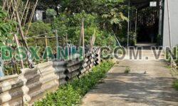 Bán đất đẹp, giá tốt ngay sau trường Đại Học Kinh Bắc