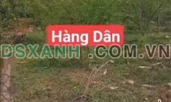 Bán đất Khe Mo 6000m², 100m² thổ cư, MT 10m, gần Chùa Hang
