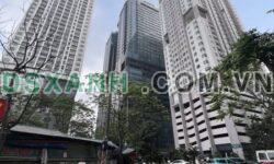 Bán Gấp Căn Góc An Bình Plaza, 97 Trần Bình. Sổ Đỏ, Lộc Lớn