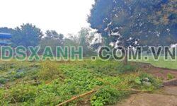 Đất Vàng Yên Nam, Duy Tiên: Đầu tư sinh lời, An cư lý tưởng