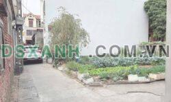 Bán đất lô góc Vô Ngại, Ngọc Lâm, Mỹ Hào 67.8m², đầu tư sinh lời