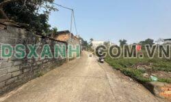 Bán đất Cẩm Đội, Thuỵ Vân – Đầu tư sinh lời, tiềm năng vượt trội